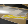 Honda RVT 1000R 2001 - RED/SILVER VERSION DECALS