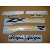 STICKER SET KAWASAKI ZX-6R AÑO 2003 AZUL