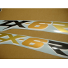 STICKER SET KAWASAKI ZX-6R AÑO 2003 AZUL