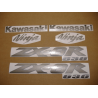 STICKER SET KAWASAKI ZX-6R YEAR 2004 SILVER