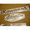 STICKER SET KAWASAKI ZX-6R YEAR 2004 SILVER