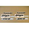 STICKER SET KAWASAKI ZX-6R AÑO 2005 VERDE