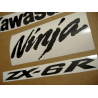 STICKER SET KAWASAKI ZX-6R YEAR 2009 GREEN