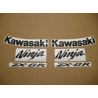STICKER SET KAWASAKI ZX-6R AÑO 2010 ROJO