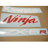 STICKER SET KAWASAKI ZX-6R YEAR 2011 BLACK