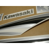 STICKER SET KAWASAKI ZX-6R AÑO 2011 AZUL