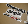 ADHESIVOS KIT KAWASAKI ZX-10R 2008 NARANJA