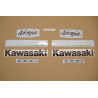 STICKERS KIT KAWASAKI ZX-10R YEAR 2002  ABS GREEN