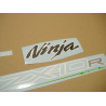 STICKERS KIT KAWASAKI ZX-10R  YEAR 2012 ABS GREEN
