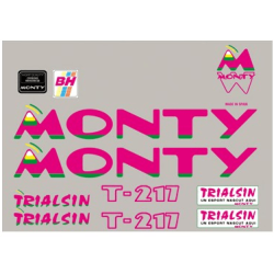 ASESIVI BH CLASSIC MONTY T217