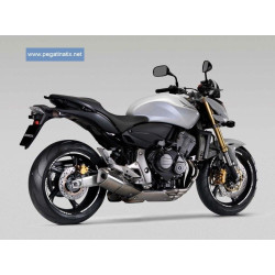 Adhesivos HONDA HORNET