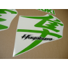 Autocollant SUZUKI HAYABUSA 2008-2015