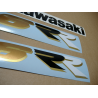 STICKER SET KAWASAKI ZX-6RR AÑO 2003 VERDE