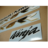 STICKER SET KAWASAKI ZX-6RR YEAR 2003 GREEN