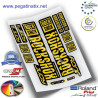 AUFKLEBER ROCKSHOX DOMAIN 2019 WP272