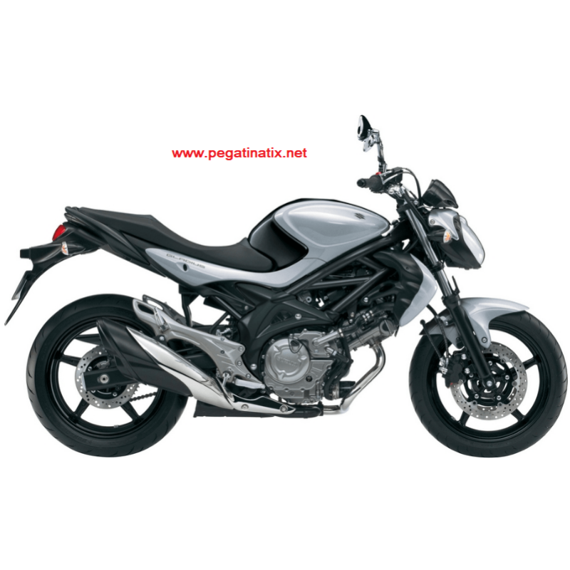 Aufkleber Suzuki GLADIUS SILVER 2013 SV650