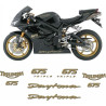 ADESIVI TRIUMPH DAYTONA 675 TRIPLE YEAR 2008