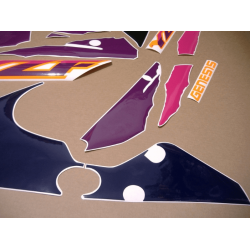 Stickers YAMAHA YZF-750R YEAR 1993 GREEN PURPLE ORANGE