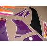 ADESIVO YAMAHA YZF-750R YEAR 1993 GREEN PURPLE ORANGE