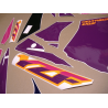 Stickers YAMAHA YZF-750R YEAR 1993 GREEN PURPLE ORANGE
