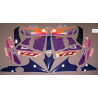 Stickers YAMAHA YZF-750R YEAR 1993 GREEN PURPLE ORANGE