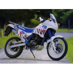 Adesivi SUZUKI DR-650 YEAR 1991