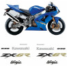 Kawasaki ZX-6R 636 YEAR 2003-2004 ADESIVI