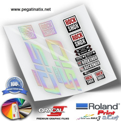 DECALS ROCKSHOX SID ULTIMATE Holographic 2021 WP339
