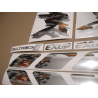 YAMAHA YZF-R1 YEAR 1998 CHROME SILVER ADHESIVOS