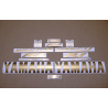YAMAHA YZF-R1 YEAR 2002-2003 MATTE GOLD