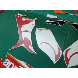 AUTOCOLLANT Aprilia RS50-RS125 YEAR 2005