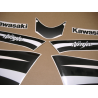 STICKER SET KAWASAKI ZX-6R AÑO 2008 VERDE