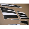 STICKER SET KAWASAKI ZX-6R AÑO 2008 VERDE