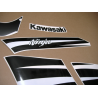 STICKER SET KAWASAKI ZX-6R AÑO 2008 VERDE