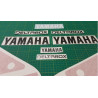 YAMAHA TZR 125 YEAR 1989 ADESIVO