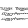 TRIUMPH Daytona 955i YEAR 1999 ADESIVI