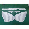 TRIUMPH Daytona 955i ADHESIVOS