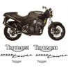 TRIUMPH Speed Triple YEAR 1994-1996 ADHESIVOS