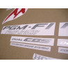 HONDA CBR 1100XX YEAR 2000 BLACK ADESIVOS