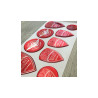DUCATI GEL Stickers decals x9