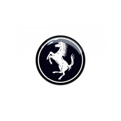 FERRARI GEL Adhesivos