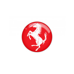 FERRARI GEL Adhesivos
