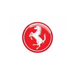 FERRARI GEL Adhesivos
