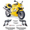 TRIUMPH TT 600 YEAR 2003 AUFKLEBER