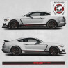 Ford Mustang shelby GT 350 year 2015 Stripes ADESIVI