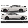 Ford Mustang shelby GT-S 550 year 2015 Stripes ADESIVI