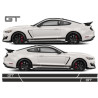 Ford Mustang shelby GT-S 550 year 2015 Stripes STICKER
