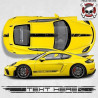 PORSCHE 781 Cayman GT4 over the top & side Stripes ADESIVI