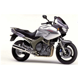 YAMAHA TDM 900 YEAR 2002 SILVER DECALS