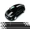 Renault Twingo Stripes AUTOCOLLANT